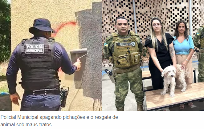 GCM apaga pichações de facção criminosa em Juazeiro e resgata cão sob maus-tratos