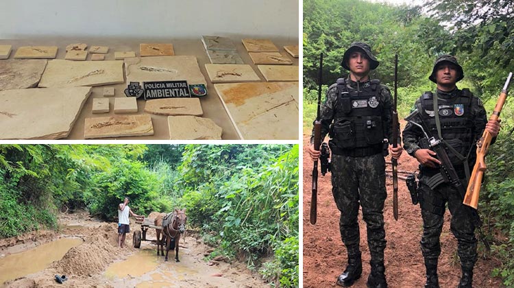 BPMA recolhe fósseis em Santana do Cariri, impede extração de areia no Crato e apreende armas em Barbalha