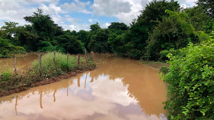 Devido às chuvas, cinco cidades decretam estado de emergência