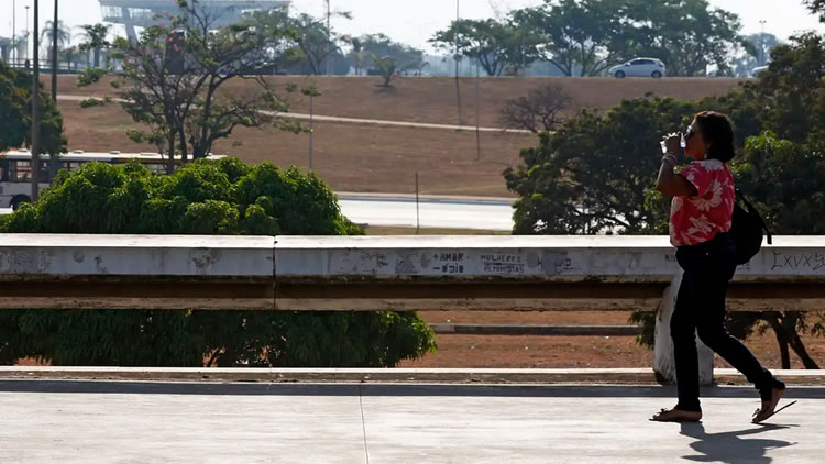 Ano de 2024 foi o mais quente no Brasil desde 1961, aponta Inmet