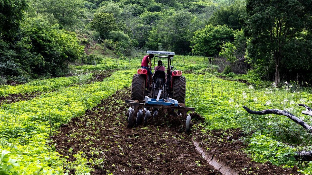 Nova Olinda amplia para 3 hectares o limite de aração de terras para agricultores em 2026
