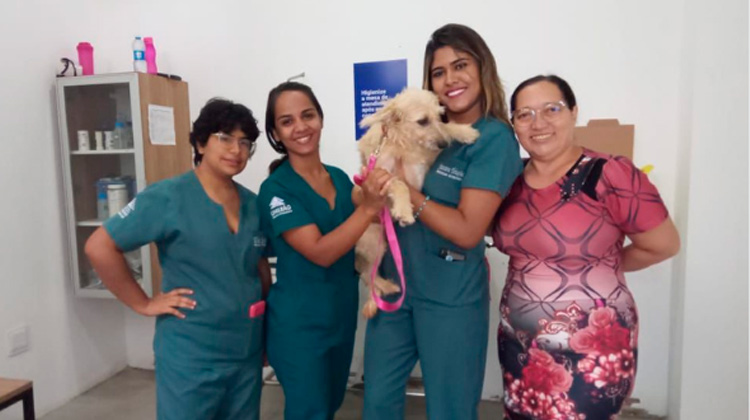 Em Juazeiro, programa ade castração atendeu 100 animais de famílias carentes